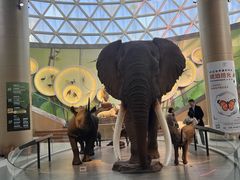 -陕西自然博物馆