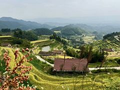 -紫鹊界梯田景区