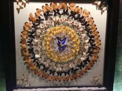 iphone_upload_pic-西安世博园