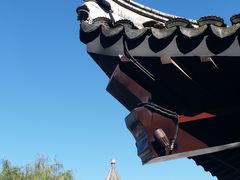 -蔡阿水羊肉店