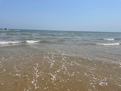 -日照海滨国家森林公园