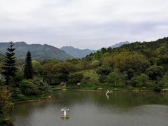 -田野绿世界