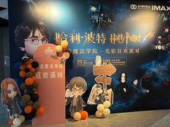 -星河寰宇IMAX影城(星河WORLD·COCO Park店)