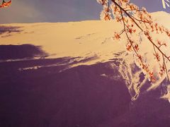 -活鳗饭·鹅肝范儿(高碑店店)