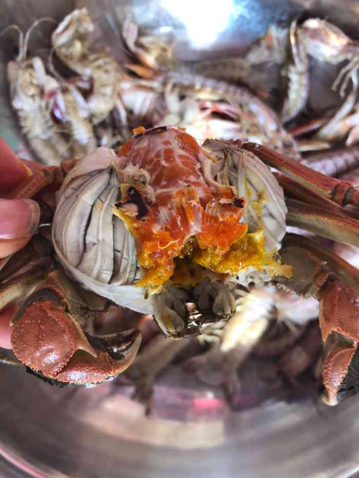 鹏旎海鲜超市-"鹏旎海鲜超市是莱阳最大最大的海鲜超市,种.
