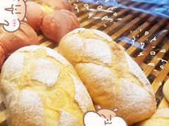 -可莎蜜兒(金城店)