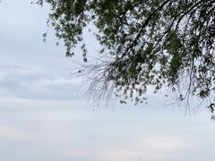 -高子水居