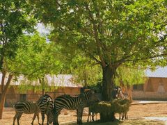 -石家庄市动物园