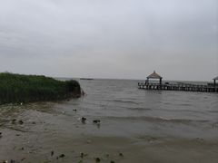 -哈素海