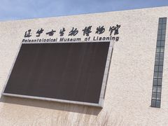 -辽宁古生物博物馆