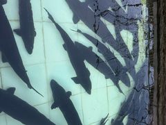 -天源渔港农庄
