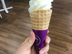 冰淇淋-贝林大翅鲸简餐厅(国家海洋博物馆店)