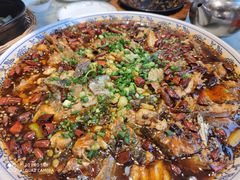 -新概念来凤鱼(璧山店)