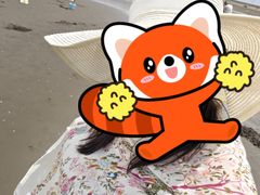 -启东黄金海滩景区