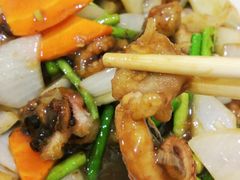 酱爆八爪鱼-北戴河庆山饭店·海鲜砂锅粥(北戴河黑石路店)
