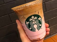 -星巴克(上海虹桥新天地二店)