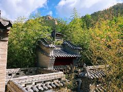 -老张烤羊(王哥庄店)