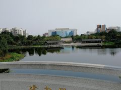 -映月湖公园