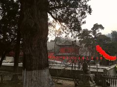 -大觉寺-停车场