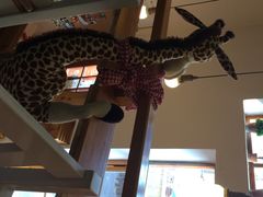 长颈鹿咖啡-长颈鹿咖啡(大学路店)