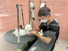 -FAELING PETS美天灵宠物(合生汇店)