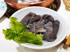 鲜脆毛肚-阳坊胜利涮羊肉(阳坊老店)