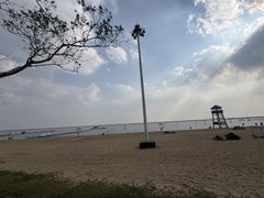 -碧海金沙