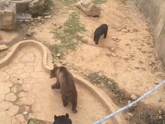 -无锡动物园·太湖欢乐园