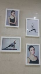 -榕树上·瑜伽普拉提