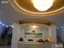 星美甲安徽真源前台 068-星美甲