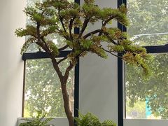 -杭州口腔医院(城西院区)