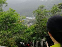 -深圳仙湖植物园-停车场