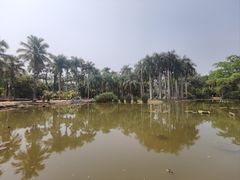 -中国科学院西双版纳热带植物园