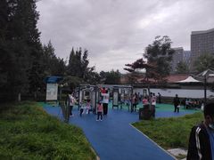 -西海子公园