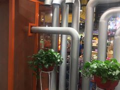 -正新鸡排(金进店)