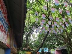 -广州长隆飞鸟乐园