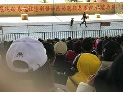 -东方熊牧场