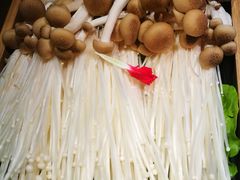 -快乐小羊·内蒙牛羊肉火锅(流花中心店)