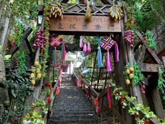 -西双版纳原始森林公园