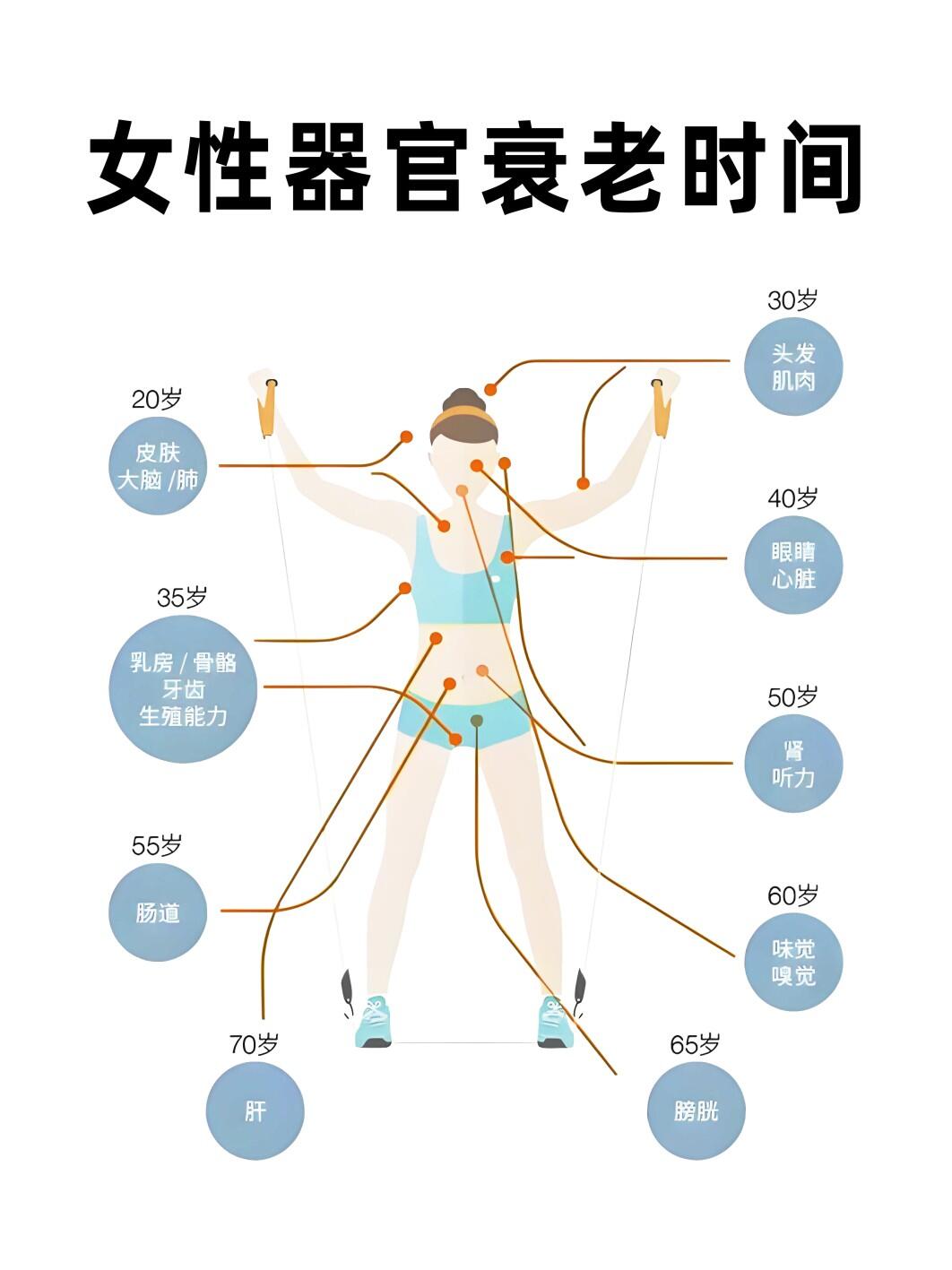 请收下这份器官衰老时间表�