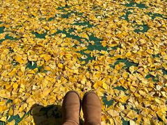 -苏州河梦清园环保主题公园