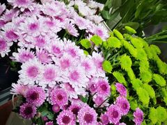 -何兮花店·气球派对鲜花店(马桥银春路万科城店)