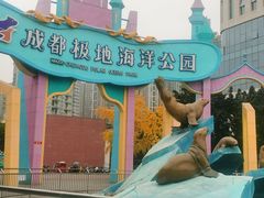 -海合安成都极地海洋公园