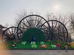 -呀路古热带植物园