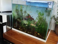 -媛媛家秘制鸡丝凉皮(陆慕店)