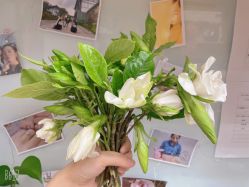 -雷氏普爱产后修护中心(弘阳店)