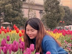 -秀丽东方