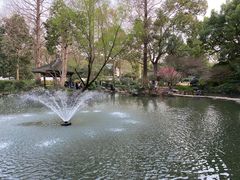 -杭州植物园