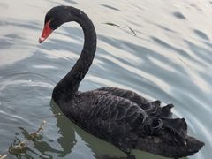 -昆山城市生态森林公园