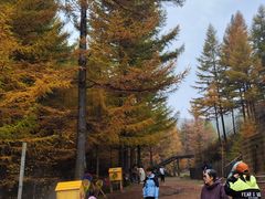 -苏木山森林公园